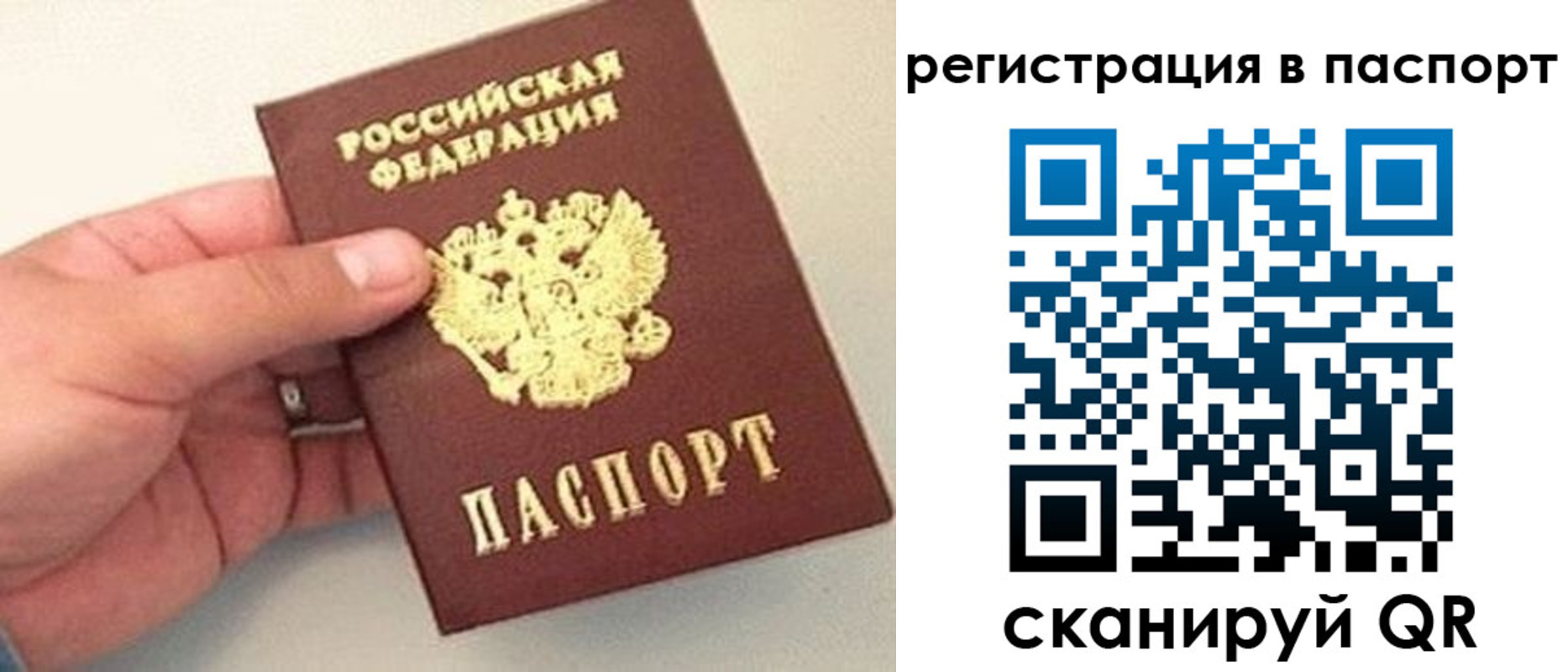 прописка законно в Лосино-Петровском